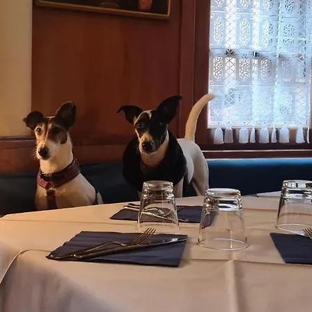 La Piazzetta Hotel 3*