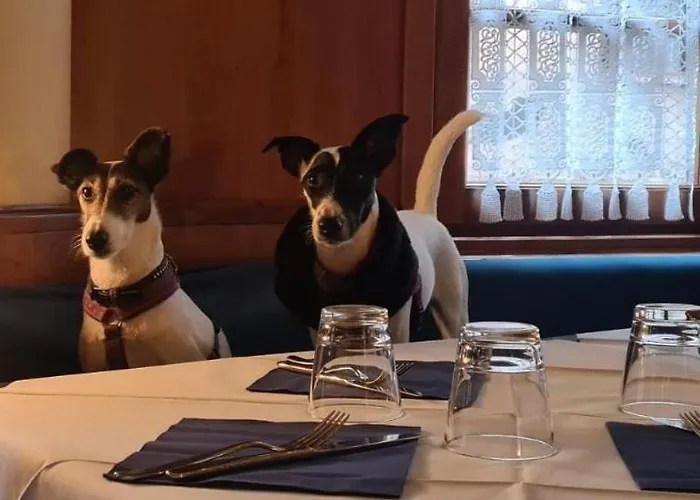 La Piazzetta Hotel 3*