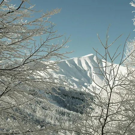 La Piazzetta Hotel 3*
