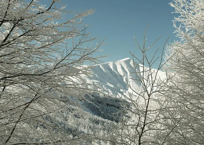 La Piazzetta Hotel 3*